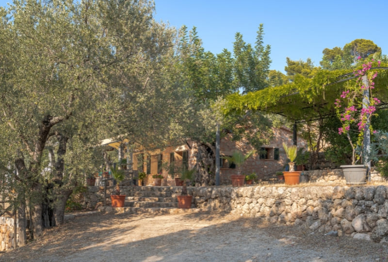 kontakt finca soller garten