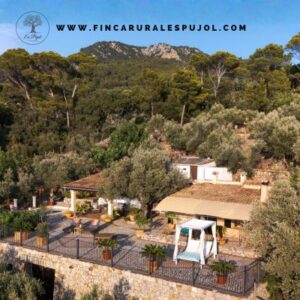 willkommen bei finca rural Es Pujol beitragsbild